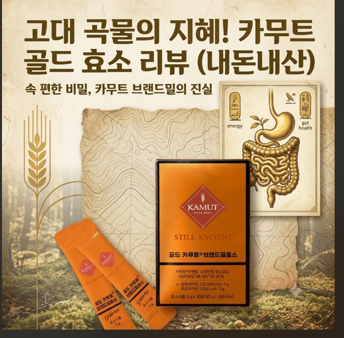 소화 잘 안 되고 더부룩할 때? 그레인온 골드 카무트 효소 내돈내산 솔직 후기
